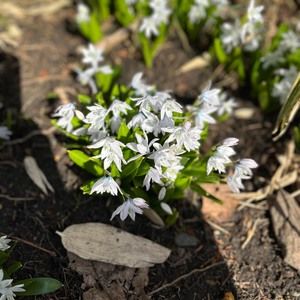 Meet your Posher, Angie